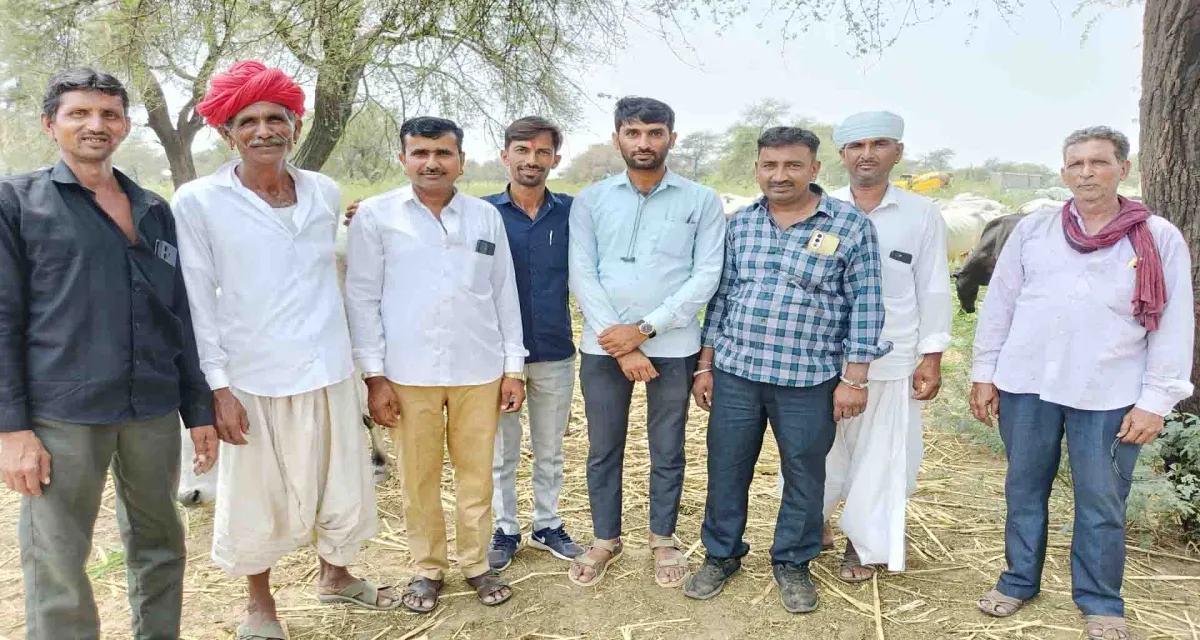 થરાદના પાવડાસણ પંચાયતના ઉમેદવારે ગાયોને લીલો ઘાસચારો ખવડાવી અનોખી સેવા કરી