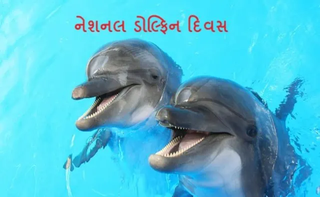 ડોલ્ફિન માટે ગુજરાતનો દરિયો વધુ સુરક્ષિત : રાજ્યના ૪,૦૮૭ ચો.કિ.મી.ના દરિયાઈ વિસ્તારમાં અંદાજે ૬૮૦ ડોલ્ફિનની હાજરી  
