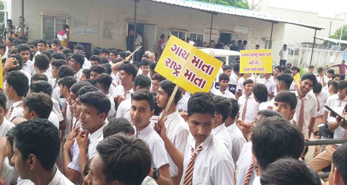મહેસાણા જિલ્લાના વિજાપુરમાં રખડતા ઢોર મુદ્દે જન આક્રોશ; રેલી યોજી મામલતદારને આપ્યું આવેદન
