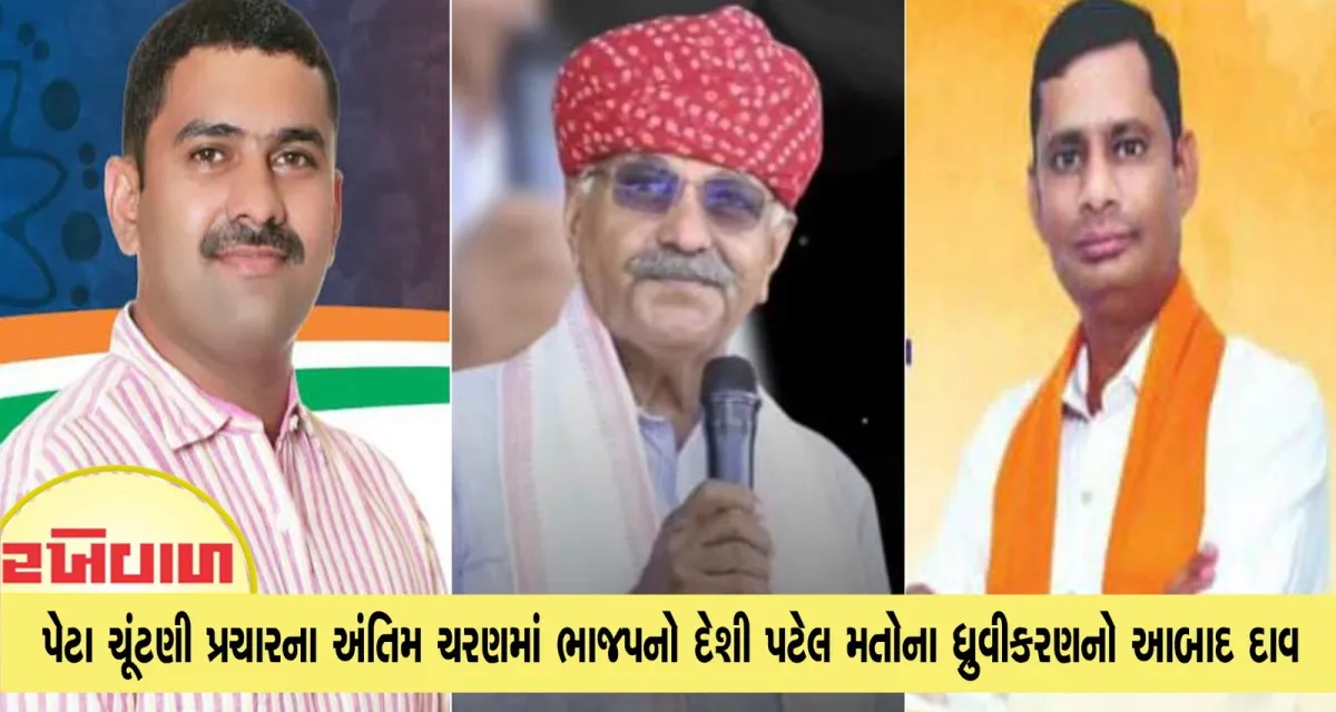 પેટા ચૂંટણી પ્રચારના અંતિમ ચરણમાં ભાજપનો દેશી પટેલ મતોના ધ્રુવીકરણનો આબાદ દાવ