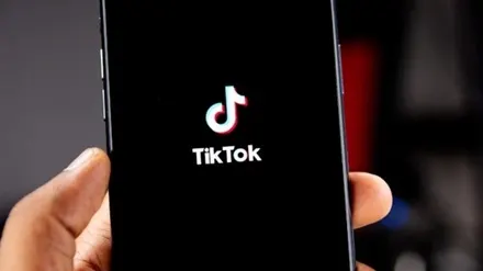 સિંગાપોરના મંત્રી પર TikTok પર વંશીય ટિપ્પણી કરવાનો ખોટો આરોપ લગાવવા બદલ ભારતીય મૂળના બ્લોગરને દંડ ફટકારવામાં આવ્યો