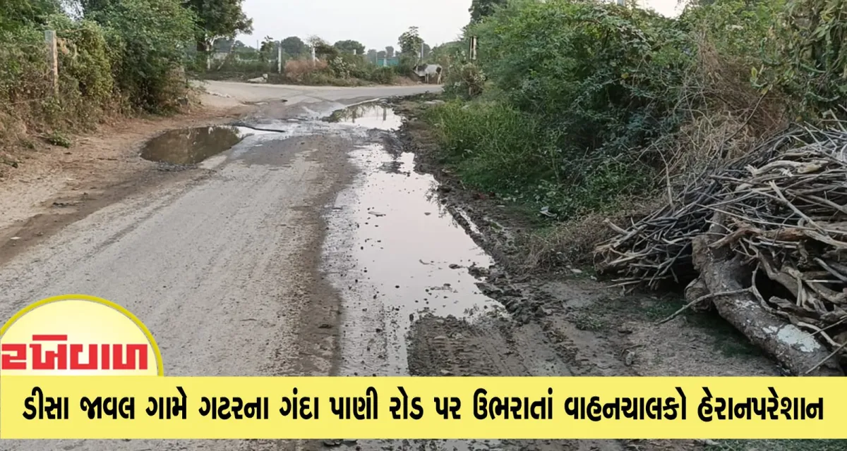 ડીસા જાવલ ગામે ગટરના ગંદા પાણી રોડ પર ઉભરાતાં વાહનચાલકો હેરાનપરેશાન