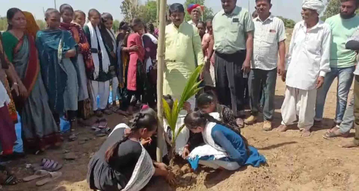 પાટણ જિલ્લામાં પ્રાકૃતિક ખેતીને વેગ મળે તેવા ઉદેશથી ડેર ગામના ખેડૂતે નારિયેળી નું વાવેતર કર્યુ