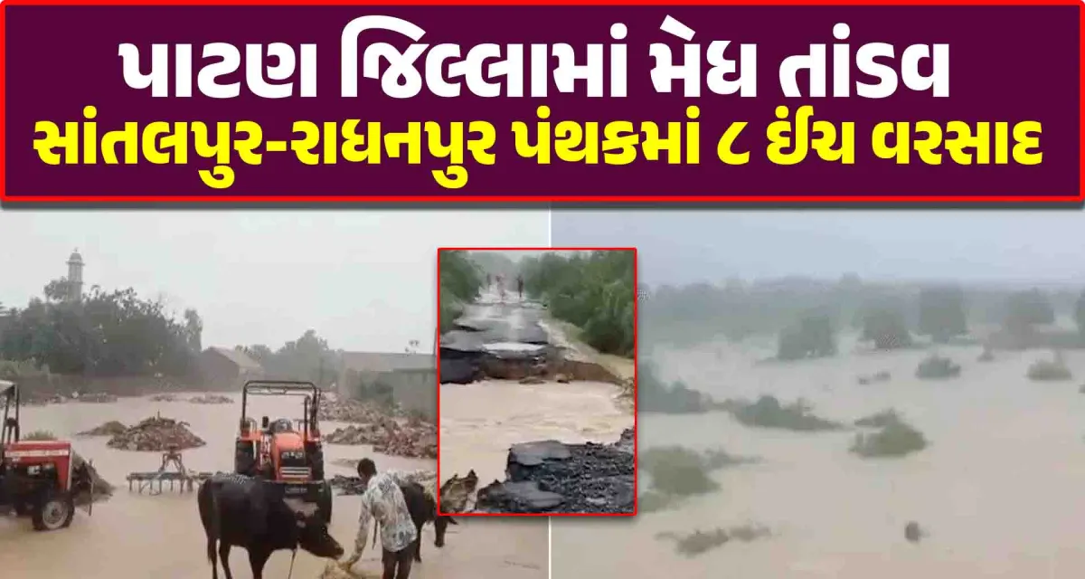 પાટણ જિલ્લામાં મેધ તાંડવ સાંતલપુર-રાધનપુર પંથકમાં ૮ ઈંચ વરસાદ ખાબક્યો