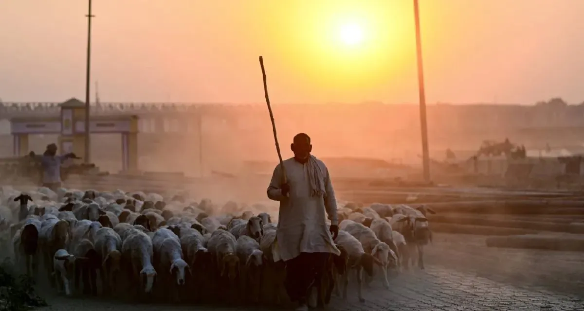 ફેબ્રુઆરીમાં માર્ચ જેવી ગરમીનો અનુભવ થશે