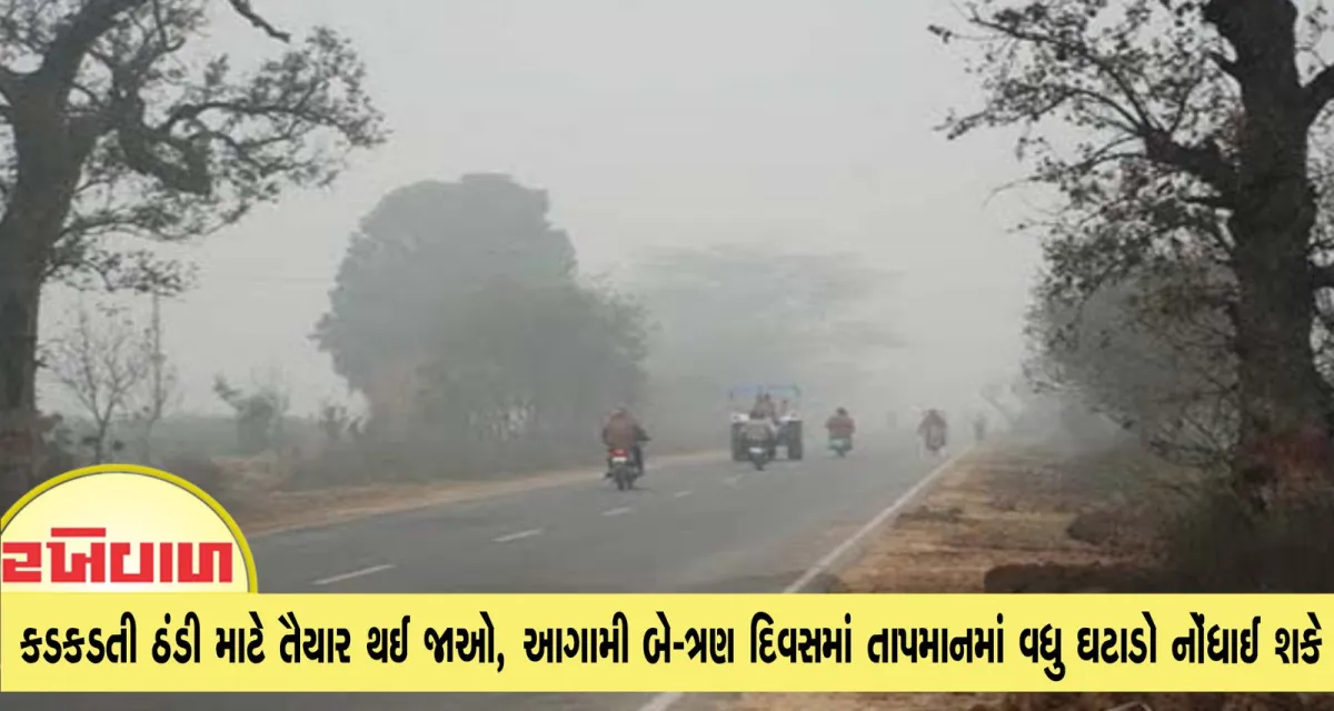 કડકડતી ઠંડી માટે તૈયાર થઈ જાઓ, આગામી બે-ત્રણ દિવસમાં તાપમાનમાં વધુ ઘટાડો નોંધાઈ શકે