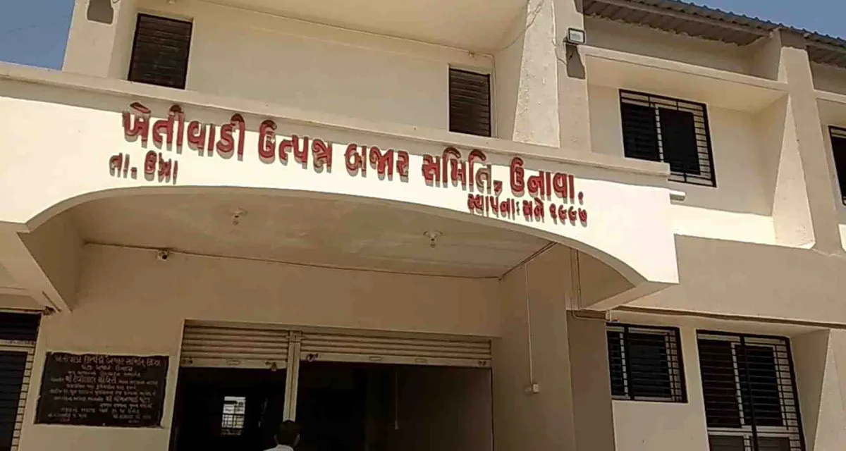 ઊંઝા નજીક ઉનાવા માર્કેટયાર્ડ ખાતે તમાકુની હરાજીનો આજથી પ્રારંભ