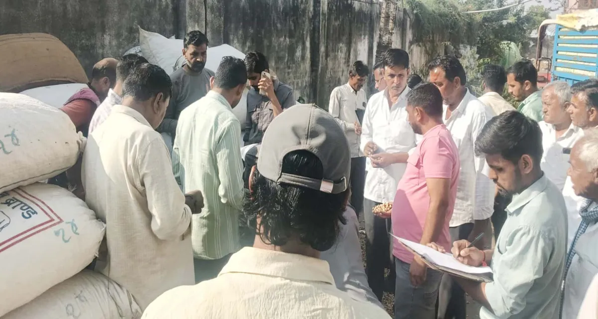 ભીલડી માર્કેટયાર્ડમાં મગફળીના ભાવ ઓછા મળતા ખેડૂતની હાલત કફોડી