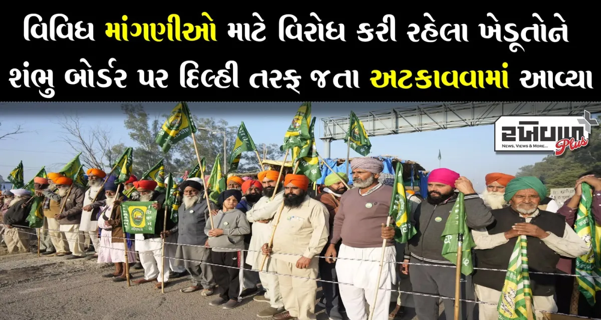 વિવિધ માંગણીઓ માટે વિરોધ કરી રહેલા ખેડૂતોને શંભુ બોર્ડર પર દિલ્હી તરફ જતા અટકાવવામાં આવ્યા