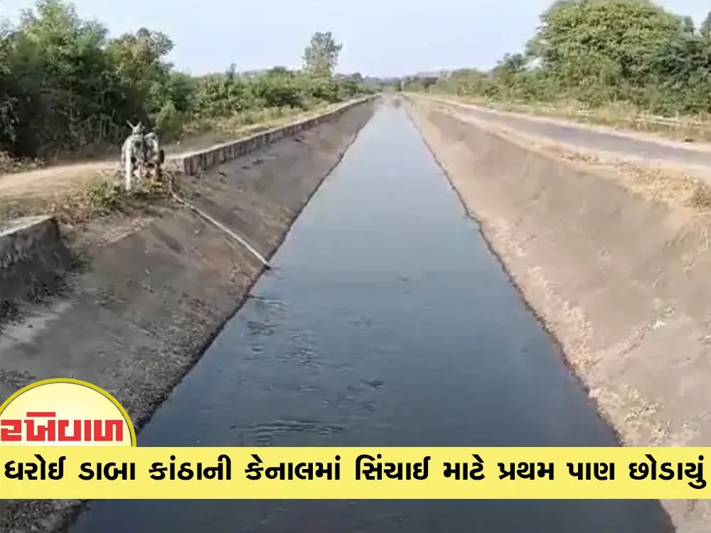 ધરોઈ ડાબા કાંઠાની કેનાલમાં સિંચાઈ માટે પ્રથમ પાણ છોડાયું