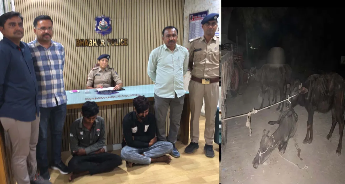 ભાભરની ખોડા પાંજરાપોળમાંથી પશુ ચોરી કરતા બે ઈસમો ઝડપાયા