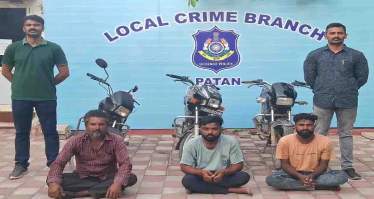પાટણ એલસીબીએ બાઈક ચોરીના કેશમાં ત્રણની અટકાયત કરી