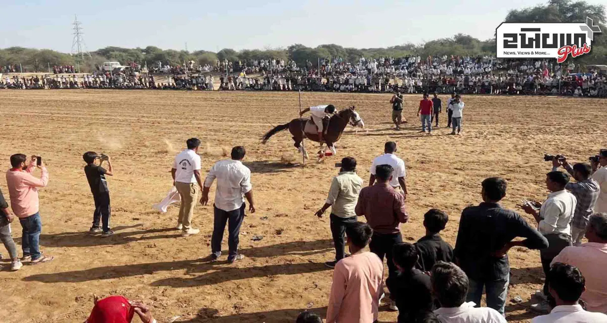 જસરા લોક મહોત્સવ: મેગા અશ્વ શોમાં ગુજરાત સહિત રાજસ્થાન અને પંજાબના અશ્વ- ઊંટ સવારો ઉમટ્યા