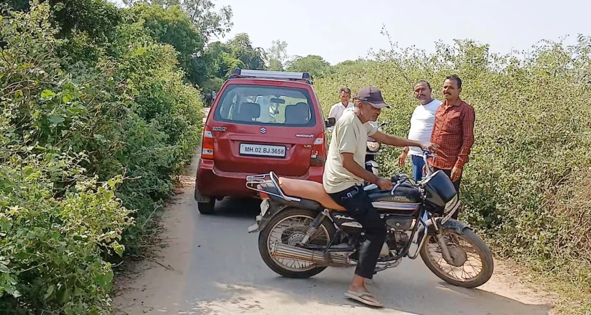 પાલનપુર તાલુકાના ગઢ-હોડા રોડ પર ઝાડી ઝાંખરાથી વાહન ચાલકો પરેશાન
