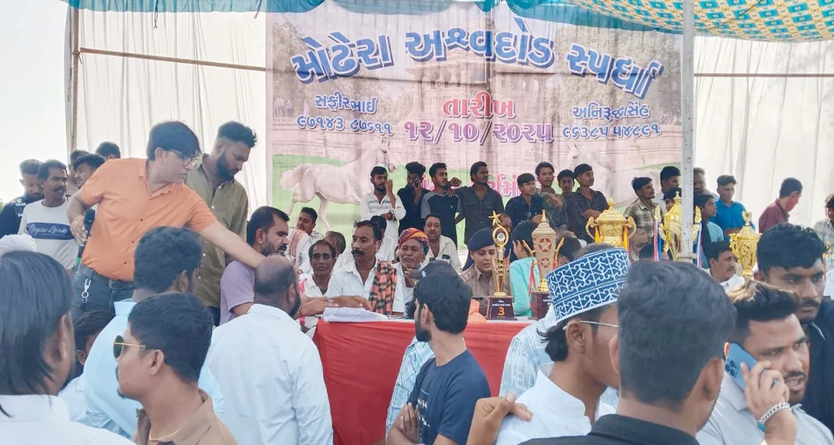 મહેસાણા જિલ્લાના મોઢેરામાં અશ્વ દોડ સ્પર્ધા યોજાઈ
