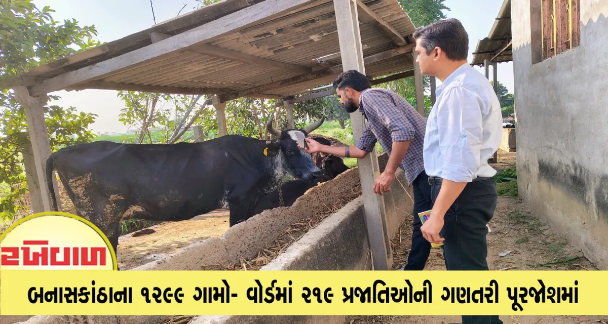 બનાસકાંઠાના 1299 ગામો- વોર્ડમાં 219 પ્રજાતિઓની ગણતરી પૂરજોશમાં