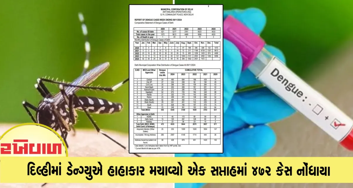 દિલ્હીમાં ડેન્ગ્યુએ હાહાકાર મચાવ્યો એક સપ્તાહમાં 472 કેસ નોંધાયા